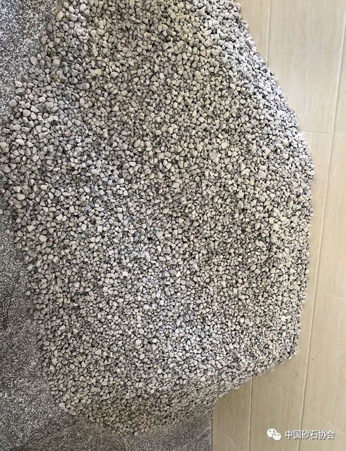 動態 首屆 機制砂石骨料與高性能混凝土 大型主題學術沙龍活動代表到國檢集團貴州公司考察調研