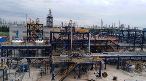 我國獨(dú)有 內(nèi)含 銀絲 被剝皮還能活,老農(nóng) 這是 植物黃金