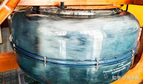 2024年高性價(jià)比劃船機(jī)推薦,各品牌劃船機(jī)怎么選 劃船機(jī)哪個(gè)品牌好 海德 小莫 mok劃船機(jī)最新款和熱銷款推薦